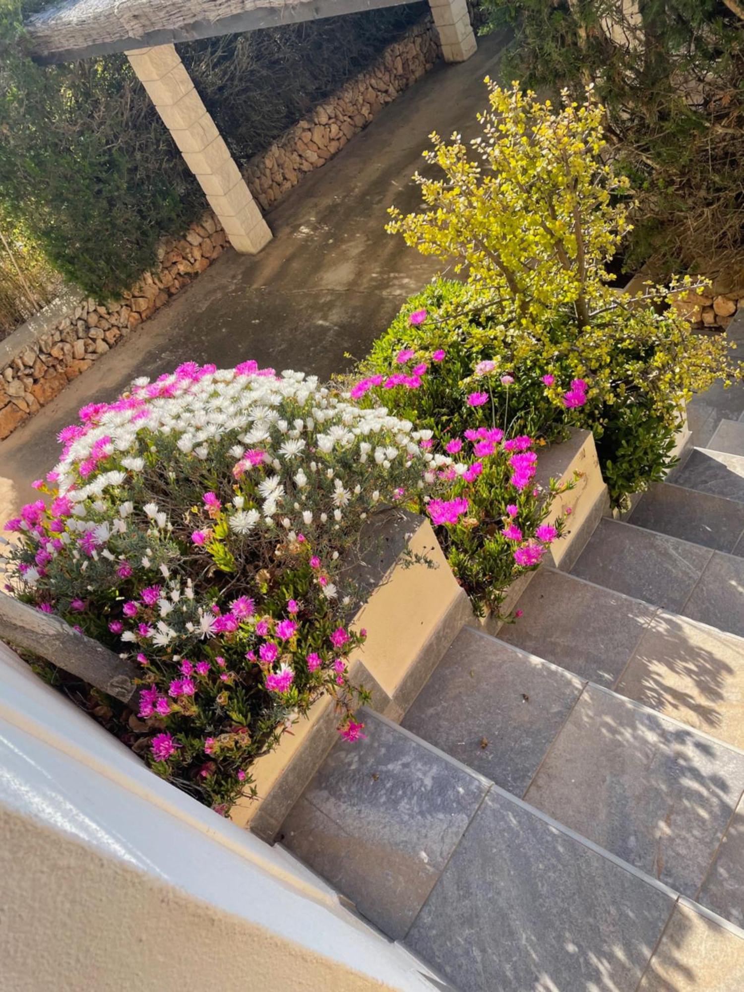 Villa Quatre Vents Punta Prima  Exterior foto